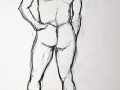 Male nude back