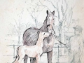 Drawing Caro & horses