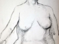 Charcoal drawing female nude