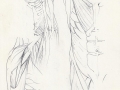 Rough sketch, Muscles