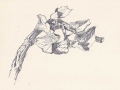 Branches leaves