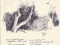 Rough sketch trees
