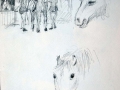 Rough Sketch, Silverlands, ponies