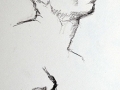 Sketch, study male