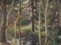 Woodland Scene