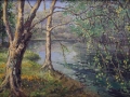 River in Summer