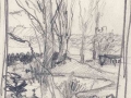 Woodland scene, Drawing