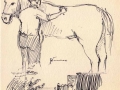 Sark, Carriage horse Prince with Pierre Carre